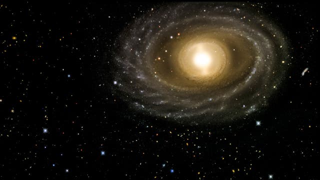Die Galaxie NGC 1398