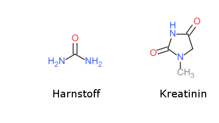 Stickstoffverbindungen des Urins: Harnstoff, Harnsäure, Kreatinin, Ammoniak.