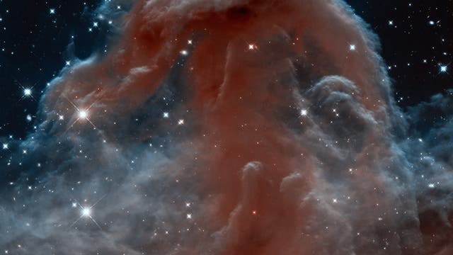 Der Pferdekopfnebel fotografiert vom Weltraumteleskop Hubble.