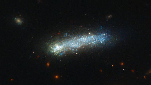 Die Kaulquappen-Galaxie LEDA 36252 in einer Aufnahme des Weltraumteleskops Hubble