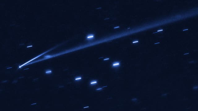 Der Asteroid (6478) Gault mit zwei Staubschweifen (Aufnahme des Weltraumteleskops Hubble)