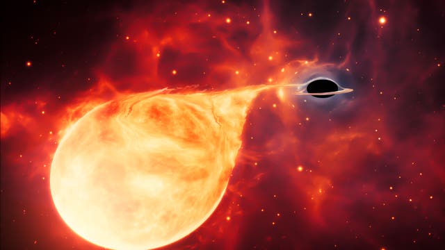 Ein Stern wird von einem Schwarzem Loch zerrissen