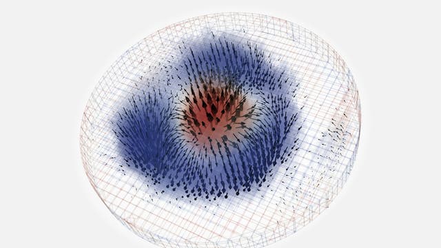 Bei dem untersuchten Skyrmion zeigt die Magnetisierung in der Mitte nach oben und dreht sich dann rundum nach unten. 