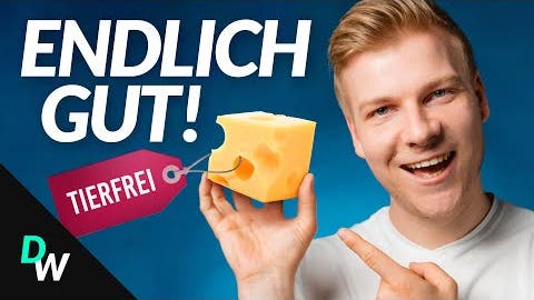 Warum Käse in Zukunft nicht mehr von Kühen kommt