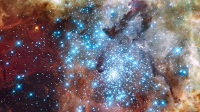 Sternhaufen im Tarantelnebel