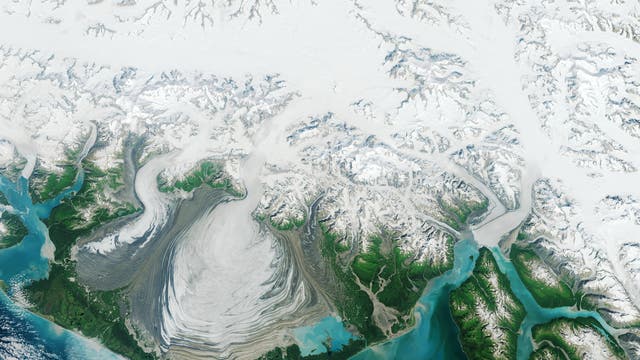 Der Hubbard Glacier (links mündet er im Meer) wächst seit 100 Jahren
