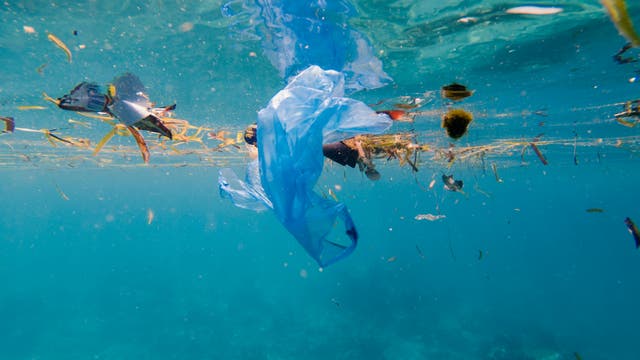 Plastikmüll treibt im Ozean umher