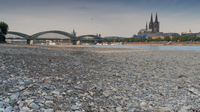 Ausgetrocknetes Rheinflussbett bei Köln