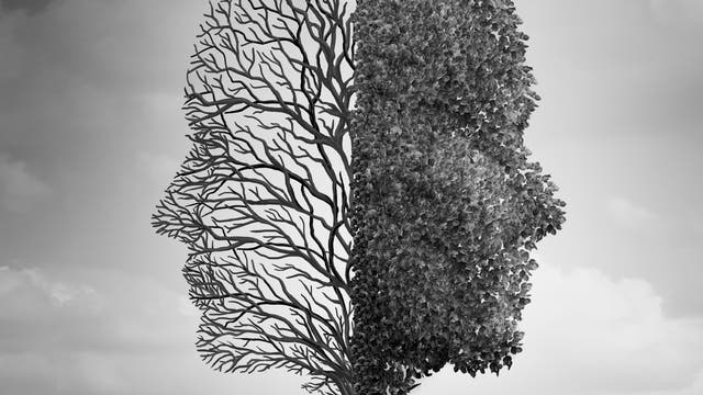 Kopf als Baum