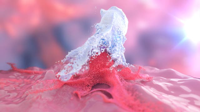 Ein Makrophage attackiert eine Krebszelle (Computerdarstellung).