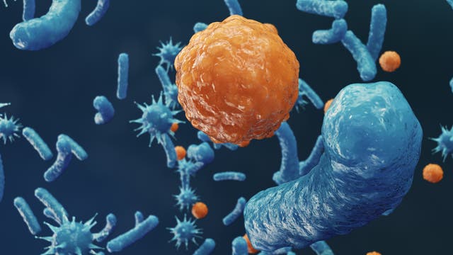 Abstrakte Darstellung von so etwas wie Viren und Bakterien auf blauem Hintergrund.