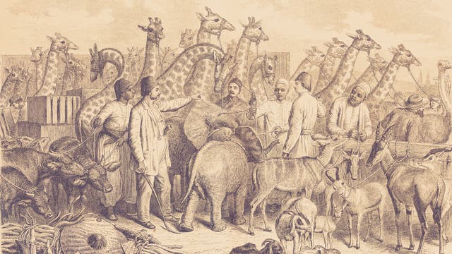 Die Zeichnung zeigt die Ankunft exotischer Tiere und ihrer Hüter in der niedersächsischen Kleinstadt Alfeld