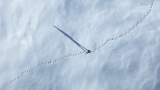 Spaziergehende im Schnee