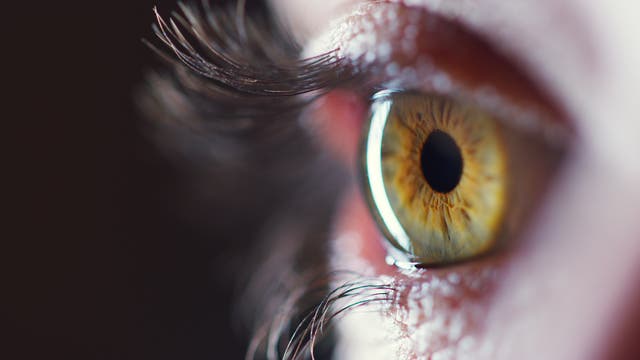 Ein Auge (mit Pupille)