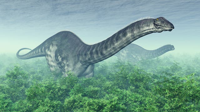 Brontosaurus (künstlerische Darstellung)