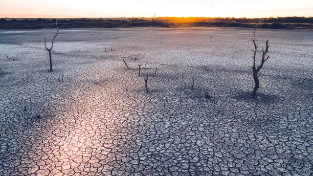 Dürre in der Pampa in Argentinien