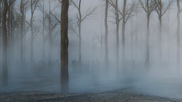 Zombies wandern durch neblige Waldlandschaft