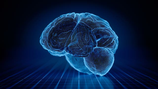 Menschliches 3-D-Gehirn in einer abstrakten, digitalen Umgebung
