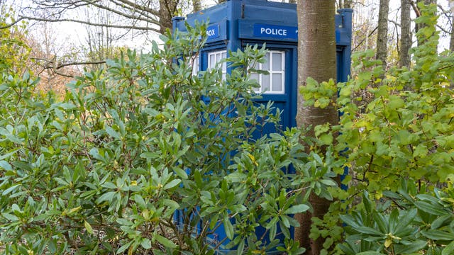 Eine blaue Telefonzelle mit der Aufschrift "Police Box" hinter Blättern.