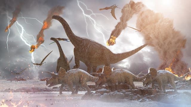 Asteroideneinschlag vernichtet Dinosaurier
