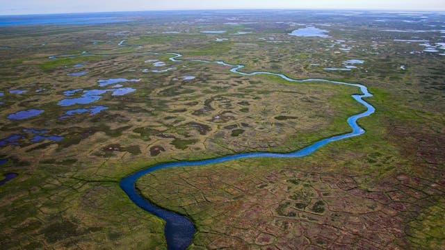 Eine flache, nur niedrig bewachsene Tundra mit mehreren kleinen und grozen Seen, die sich zum Horizont erstrecken.