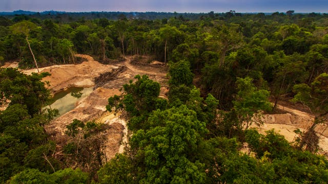 Goldabbau im brasilianischen Regenwaldgebiet
