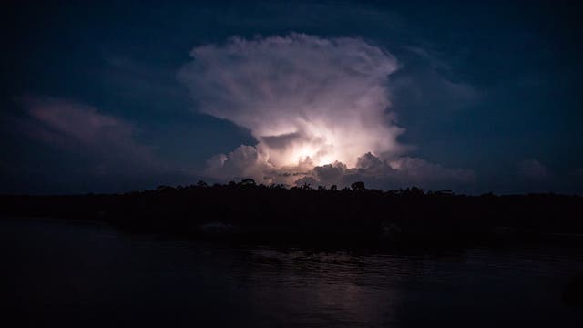 Ein Blitz erleuchtet eine Gewitterwolke in der Nacht über dem Amazonasregenwald, Bäume sind als dunkle Silhouetten zu sehen