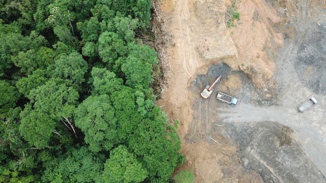 Drohnenaufnahme eines Waldes in Borneo, der zum Teil entwaldet wird