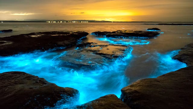 Biolumineszierende Meeresorganismen lassen die Brandung leuchten.