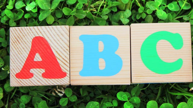 Drei Holzklötze im Gras mit der Aufschrift a,b,c