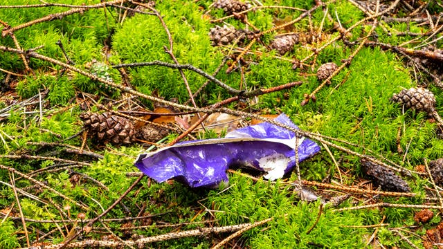 Eine aufgerissene Verpackung eines Schokoriegels liegt auf moosbedecktem Waldboden.