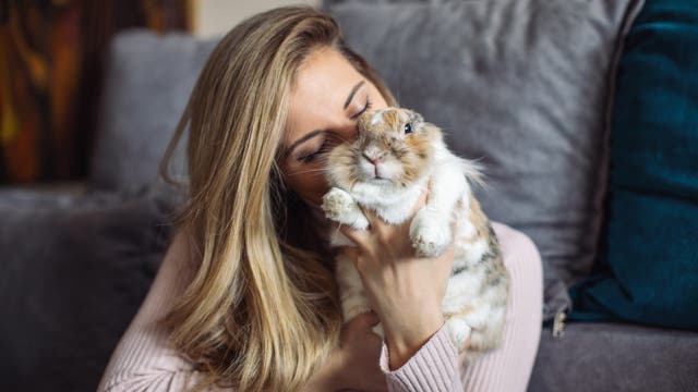 Eine Frau hält ein kleines, flauschiges Kaninchen und kuschelt sich an seinen Kopf