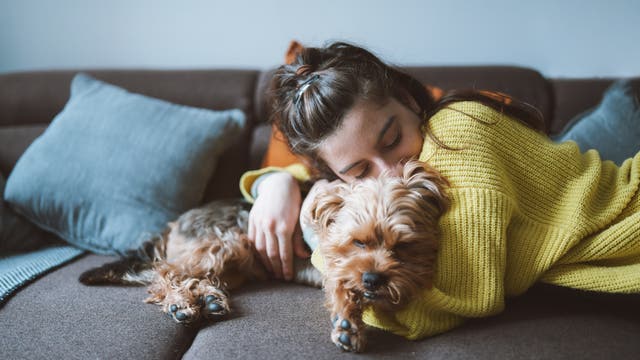 Eine Frau und ihr Hund kuscheln auf dem Sofa.