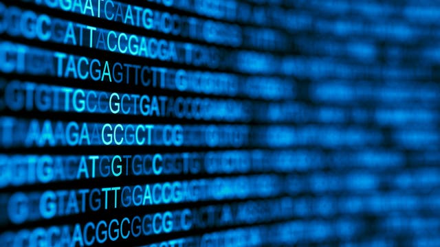 DNA Nukleinbasen-Sequenzen