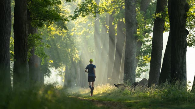 Ein Mann joggt durch eine Allee