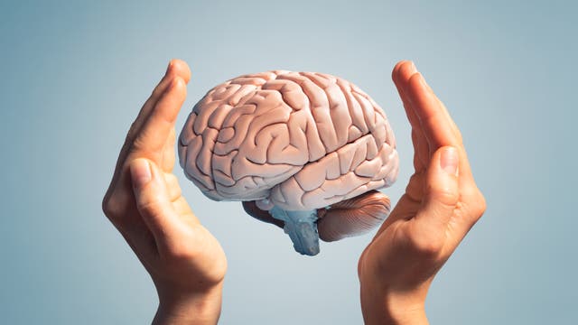 Hände halten schützend ein Gehirn