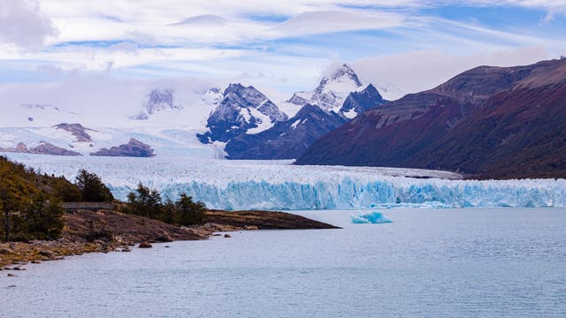 Die zerklüftete Zunge des Glaciar Perito Moreno in Patagonien mündet in einen See. Im Hintergrund ein schneebedecktes Gebirge.