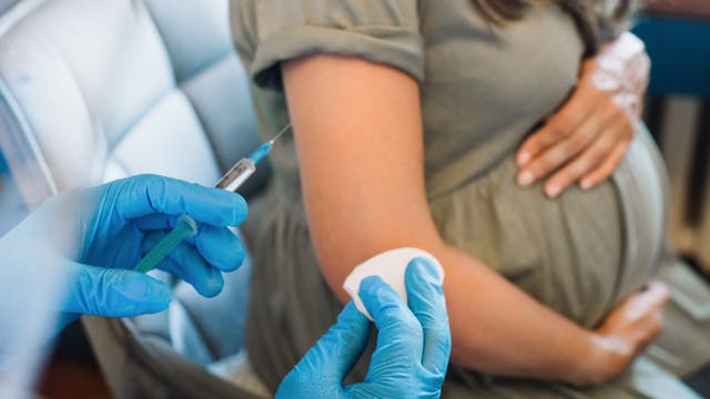 Eine schwangere Frau wird geimpft