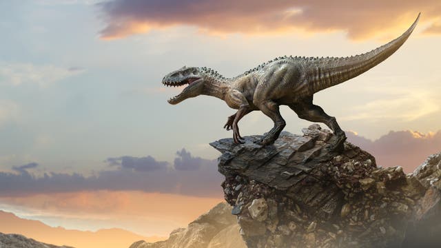 Ein Tyrannosaurus Rex auf dem Gipfel eines Bergfelsens