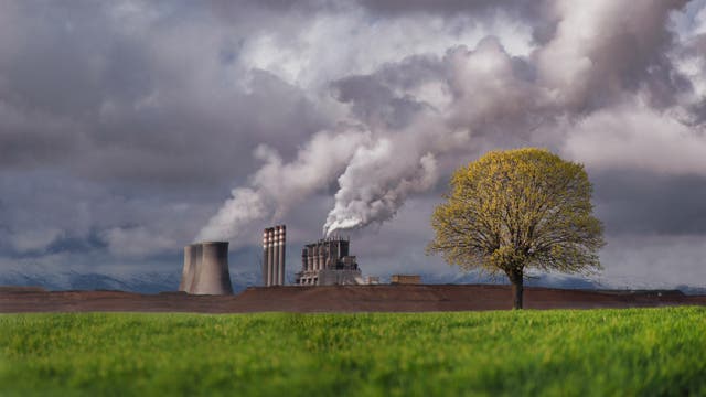 Ein rauchendes Kohlekraftwerk, im Vordergrund Felder und ein Baum.