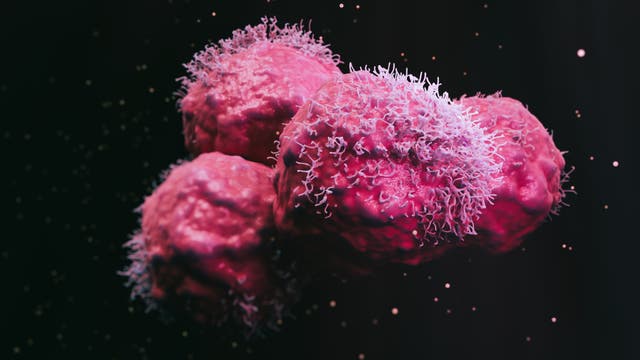 Pinke, abstrakte Krebszellen vor schwarzem Hintergrund