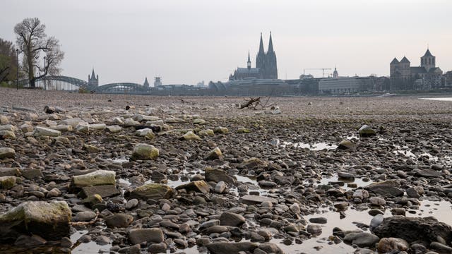 Niedrigwasser im Rhein bei Köln