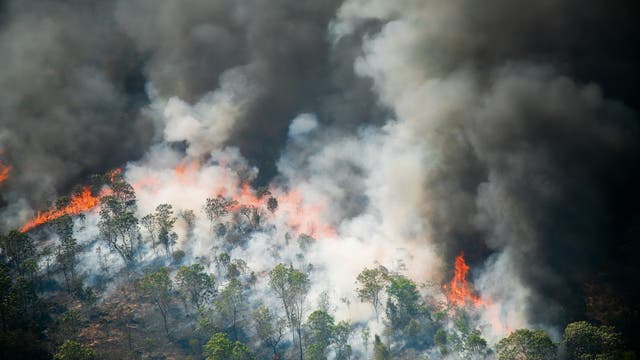 Ein Feuer frisst sich durch geschädigten Wald im Amazonasgebiet. Dichter Rauch steigt auf