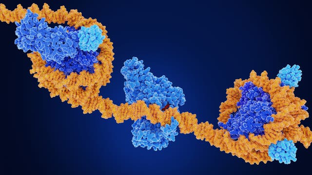 Ein DNA-Strang windet sich um Histone.