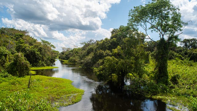 Sumpfregion während der Hochwassersaison im Pantanal-Ökosystem in Brasilien