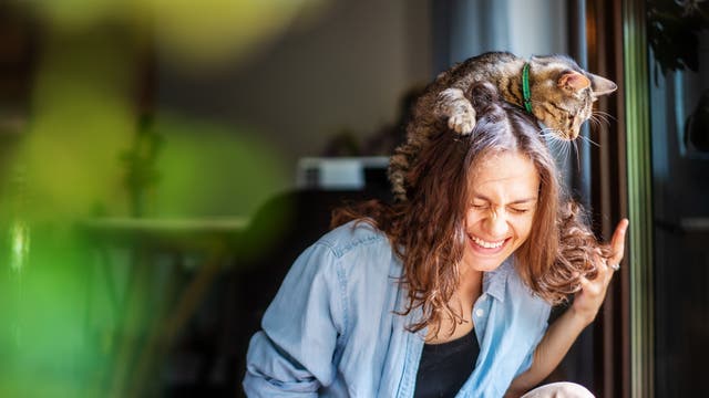 Katze sitzt auf dem Kopf einer lachenden Frau