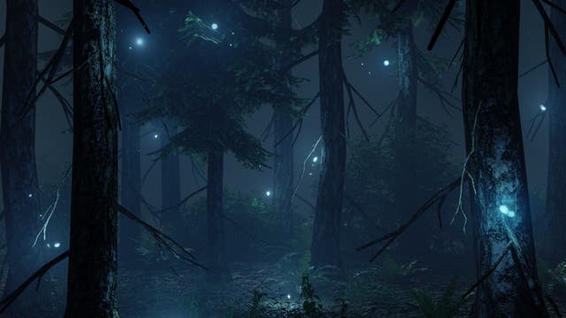 Kleine helle Lichter in einem nächtlichen Wald