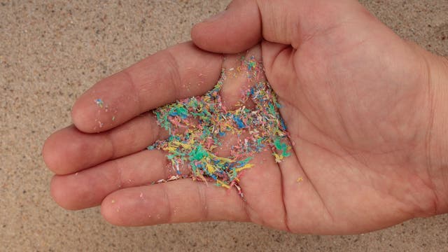 Eine Hand vor einem Strand, in der Hand liegen bunte Fasern aus Mikroplastik