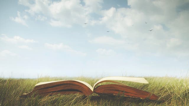 Ein offenes Buch liegt auf einer Wiese, darüber befindet sich der blaue Himmel.
