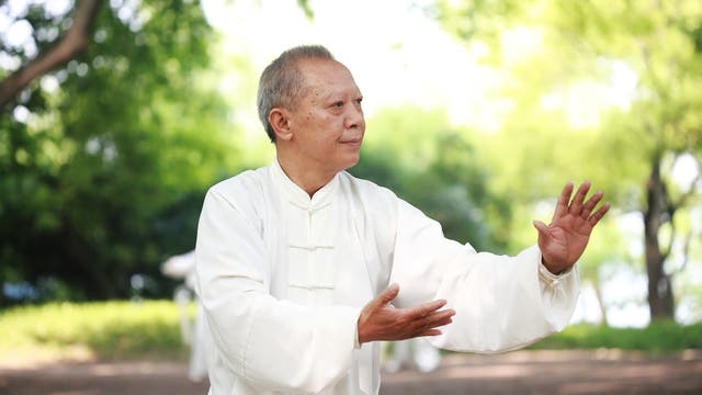 Älterer Asiate praktiziert Tai Chi im Grünen